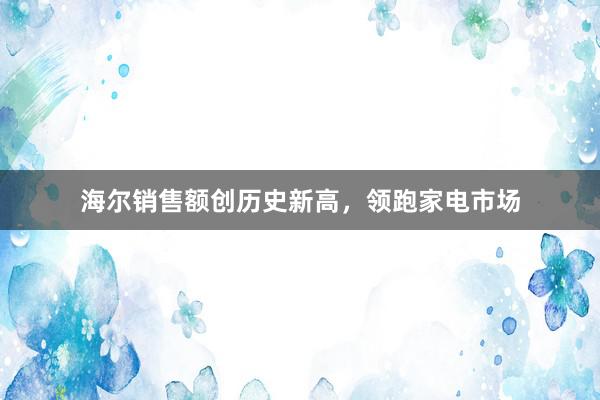 海尔销售额创历史新高，领跑家电市场